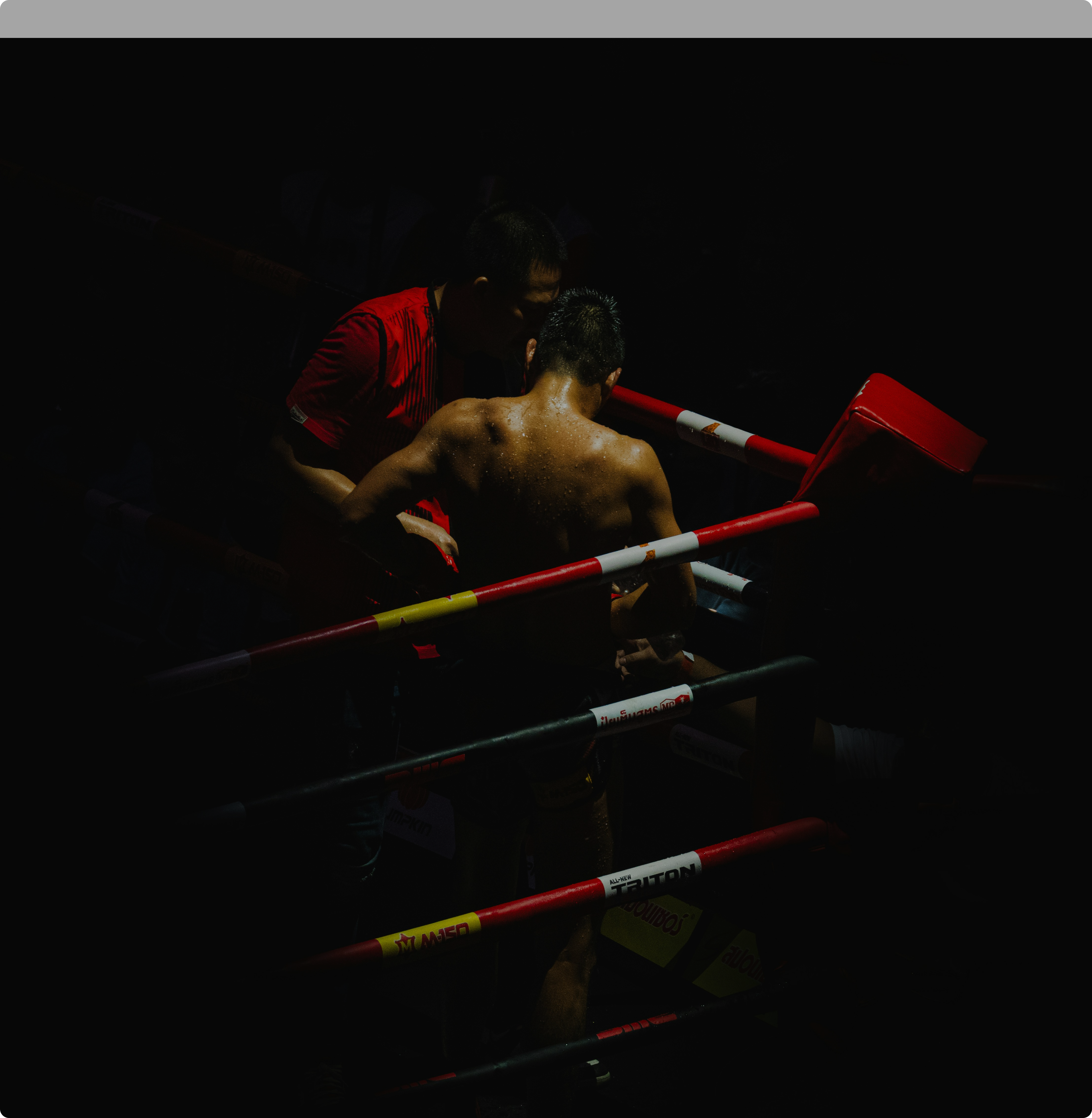 Private Label Boxing Gloves
